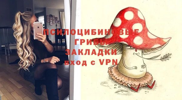 молекула духа Белокуриха