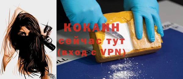 молекула духа Белокуриха